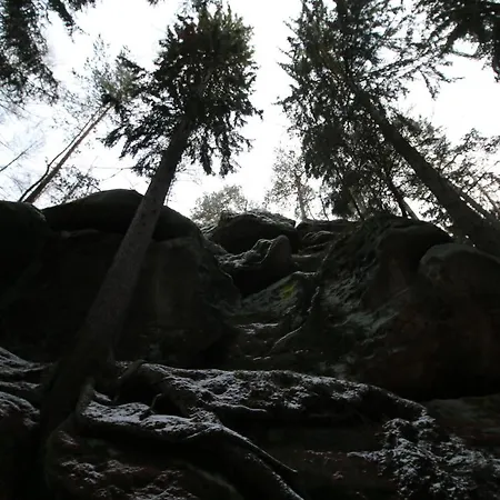 Zittauer Gebirge Appartement *