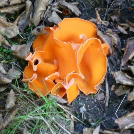 Zittauer Gebirge Kurort Jonsdorf