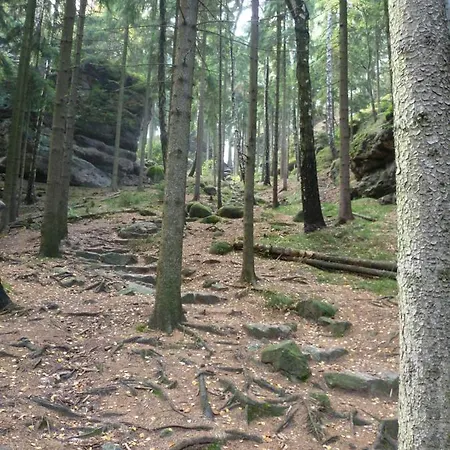 Zittauer Gebirge Apartment *